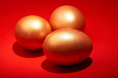 TGS 2021: TPS新作《通缉：死亡》最新预告公布 《忍龙》开发者参与制作